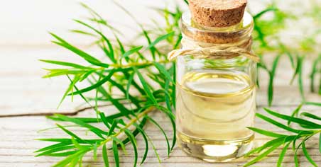 Inhaling Tea Tree Oil to Clear Sinuses