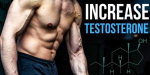 Natural Ways to Increase Testosterone in Males