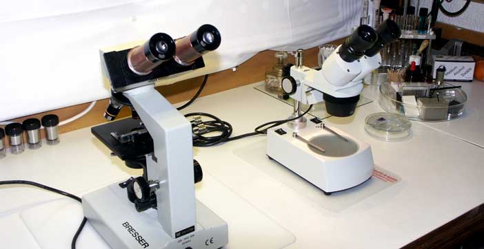 The Binocular vs. Monocular Microscope