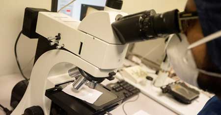 mistakenly think that a monocular microscope