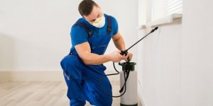 How Much Should I Pay For Pest Control