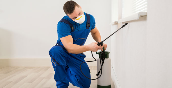 How Much Should I Pay For Pest Control