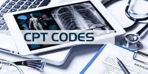 What are the three categories of CPT codes