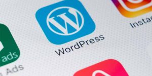 What is the Difference Between cPanel and WordPress