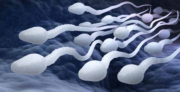 What Things Improve Male Fertility