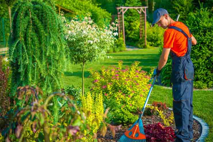 How to Clean up a Garden Full of Weeds