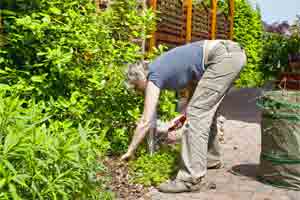 Clean up a Garden