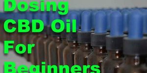 CBD Oil for Beginners