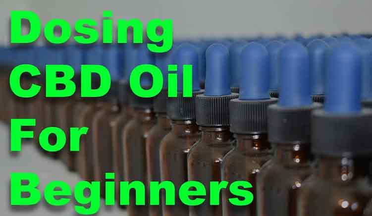 CBD Oil for Beginners